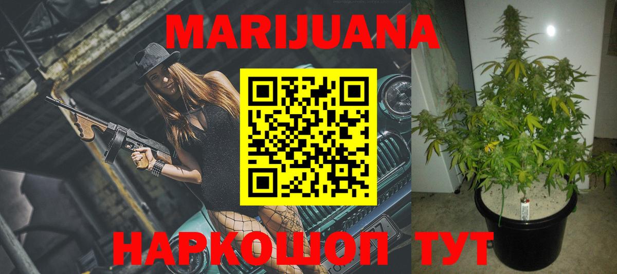 Каннабис планчик Донской